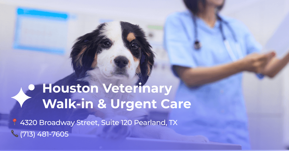 Houston Veterinary Walk-in & Urgent Care