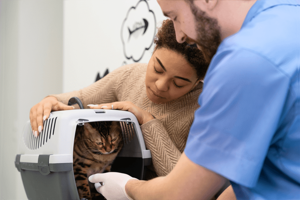 Сlose up people with cute cat clinic